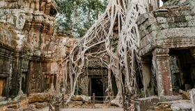 Siem Reap Ta Prohm Temple Gate, Cambodia
